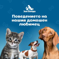 Как да разчетем поведението на нашия домашен любимец