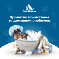 Пролетно почистване за домашния любимец