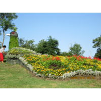 Озеленяване град Бургас