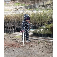 Знаете ли по какво се познава добрият озеленителен център?