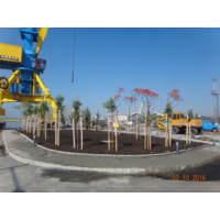 Морска гара 2016г.