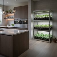 Издължаване на разсада – какво да правим и как да го предотврати