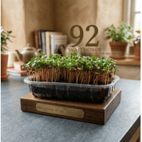 От засяване до трапезата за 5 дни: Революция в отглеждането на м