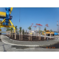 Морска гара 2016г.