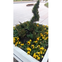 Озеленяване автогара Бургас