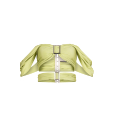 SAGE TOP