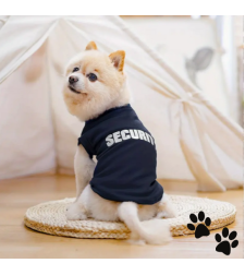 Дрешка Security