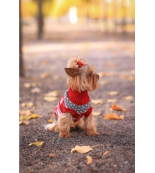 Коледен пуловер на еленчета за кучета и котки