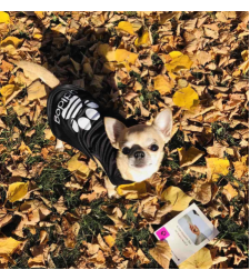 Дрешка Adidog