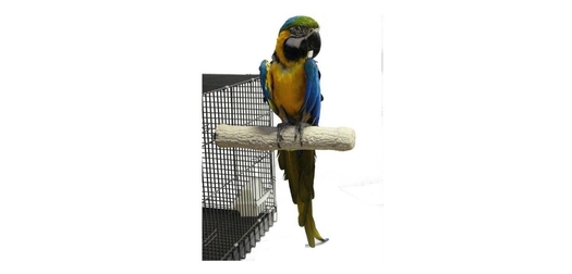 Абразивна Кацалка Back Zoo Nature за Нокти и Клюн – 35 см x 55 мм