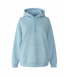 Levi’s Everyday Hoodie • L