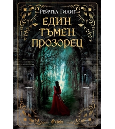 Един тъмен прозорец - Рейчъл Гилиг
