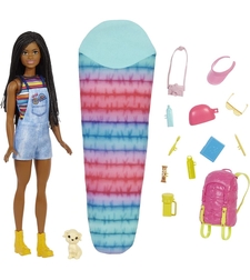 Кукла Mattel Barbie Camping Brooklyn Doll