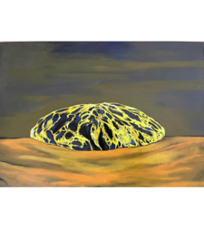 1-1 Спирулина - 1