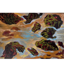 1-6 Спирулина - 2