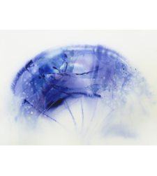 3-9 Дъх на Синева