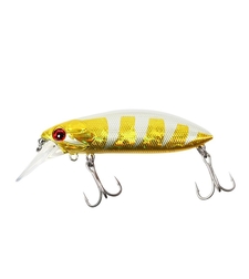 Sea Buzz The Catcher