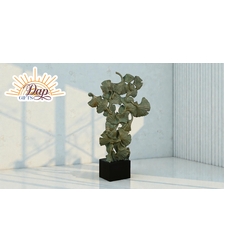 Листа Гинко Билоба (4917465)