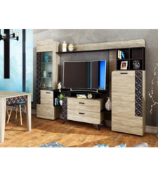 Секция Ница