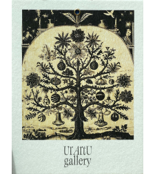 notecard 7