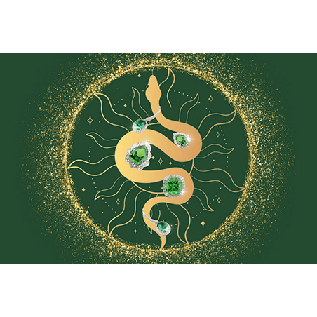 NEW ENERGY IN THE YEAR OF THE SNAKE