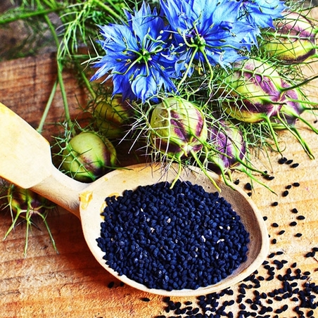 Масло от черен кимион – защо е толкова полезно?