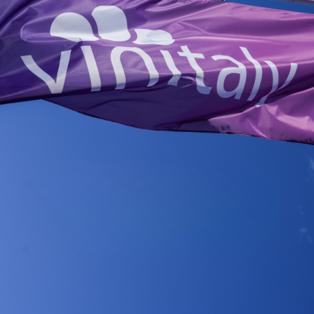 5StarWines - the Book,  награди от Vinitaly 2025