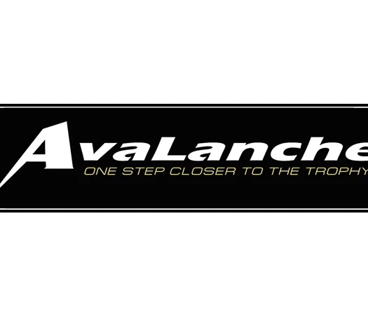 Zetrix Avalanche – Ново поколение спининг въдици | ProFish.bg