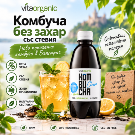 Комбуча без захар със стевия: Ново поколение комбуча в България