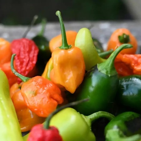 С какво са полезни лютите чушки