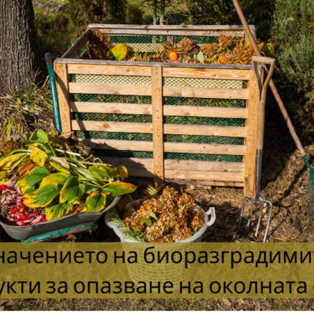 Защо са важни биоразградимите продукти?