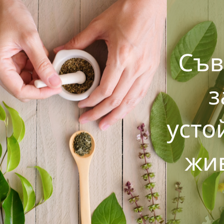 Какво се крие зад 