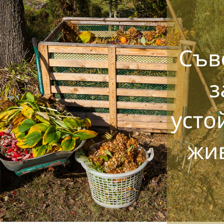 Защо са важни биоразградимите продукти?