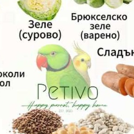 ИнфоКартички: какво може да яде твоят папагал