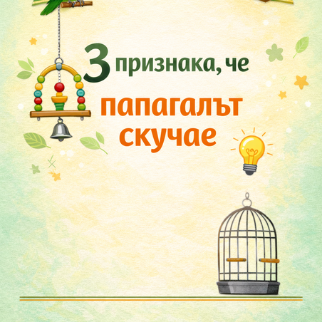 СЪВЕТ ЗА ПАПАГАЛИ