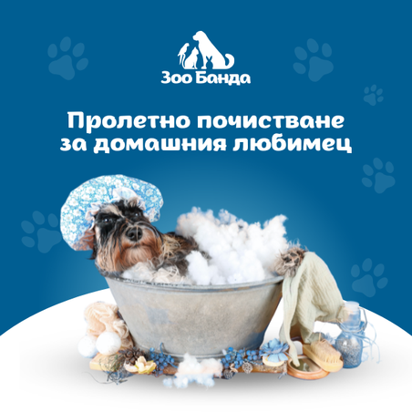 Пролетно почистване за домашния любимец