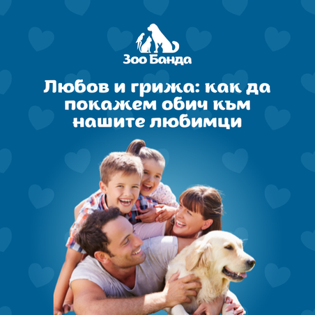 Любов и грижа за домашния любимец