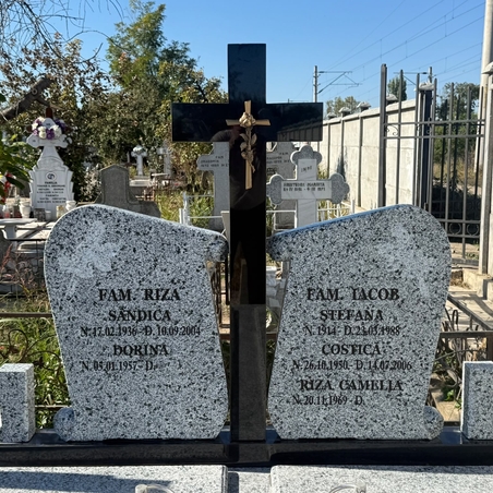 Monumente Funerare Județul Arad