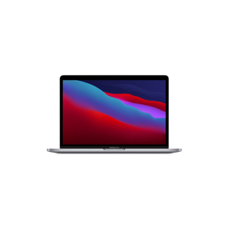 Ноутбук MacBook Pro 13 M1 256 Gray (MYD82RU/A)