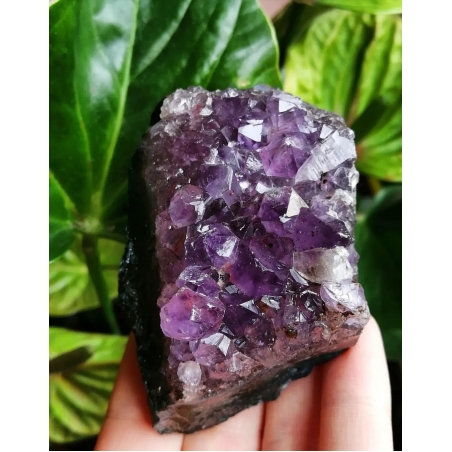 Друза Аметист