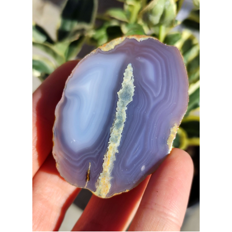 Български Ахат