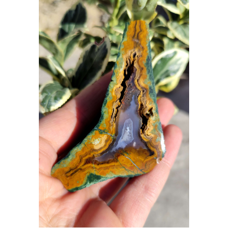 Орфеев Ахат