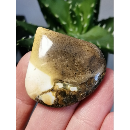 Кабошон Ахат