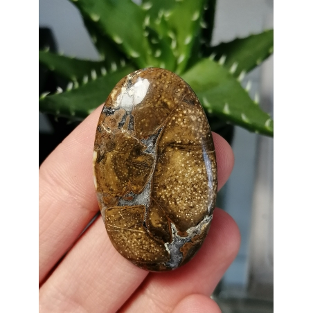 Кабошон Ахат