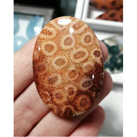Кабошон Коралов Ахат
