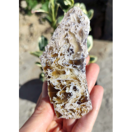 Български Ахат