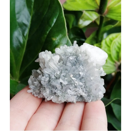 Друза кварц с включения на Калцит