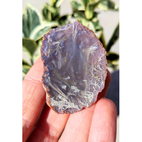 Български Ахат