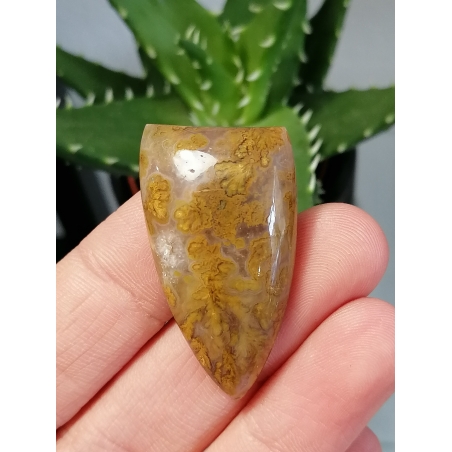 Кабошон от Орфеев Ахат