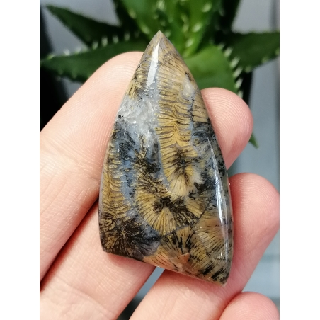 Кабошон от Български Коралит